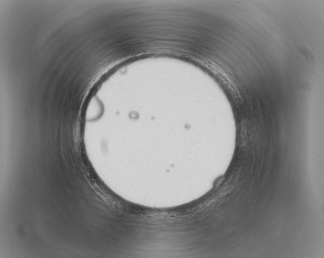 X0000115440880200912161452