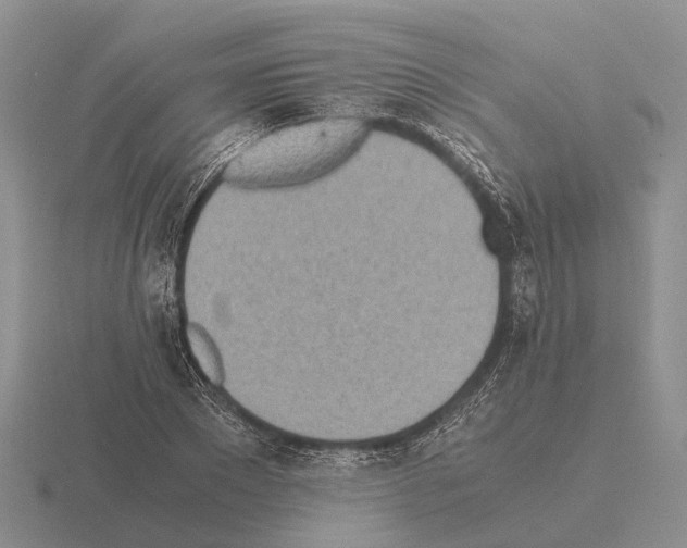 X0000115440881200912161452