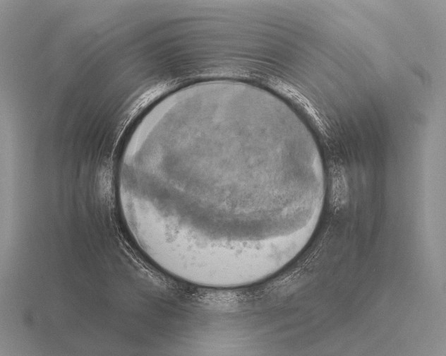 X0000115440882200912161452