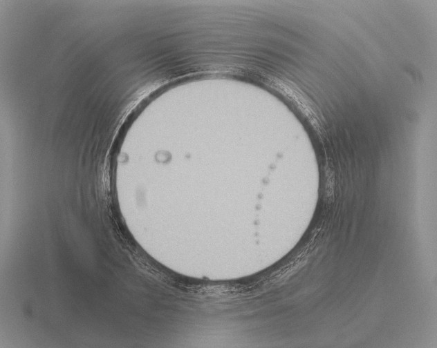 X0000115440883200912161452