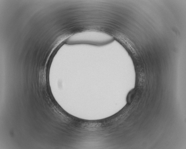 X0000115440884200912161452