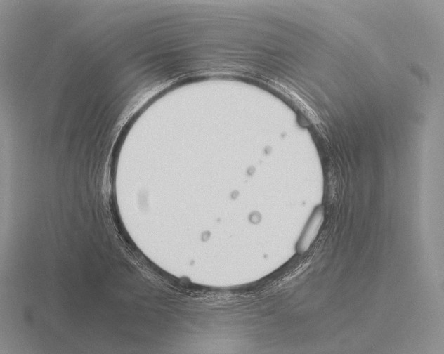 X0000115440885200912161452