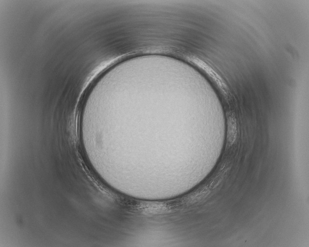 X0000115440886200912161452