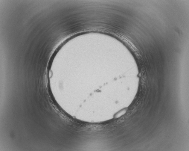 X0000115440888200912161452