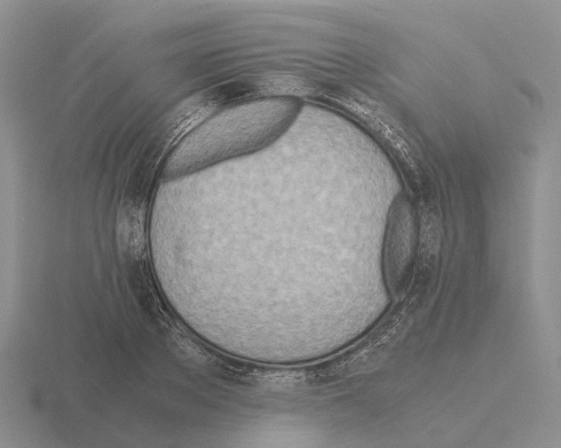 X0000115440889200912161452