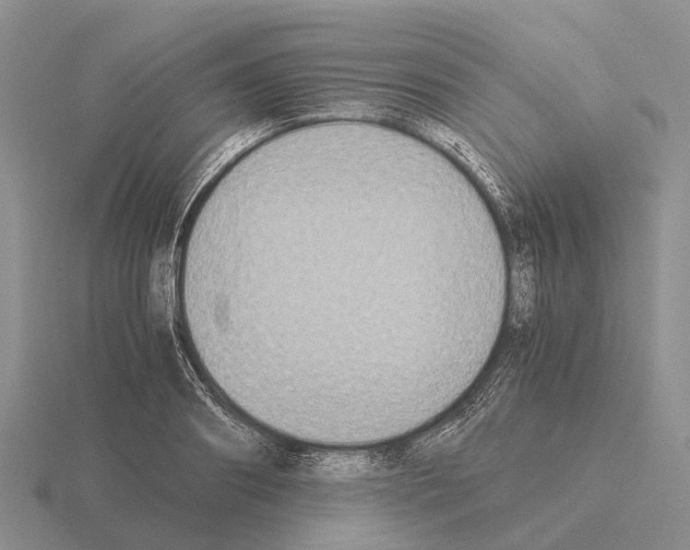 X0000115440890200912161452