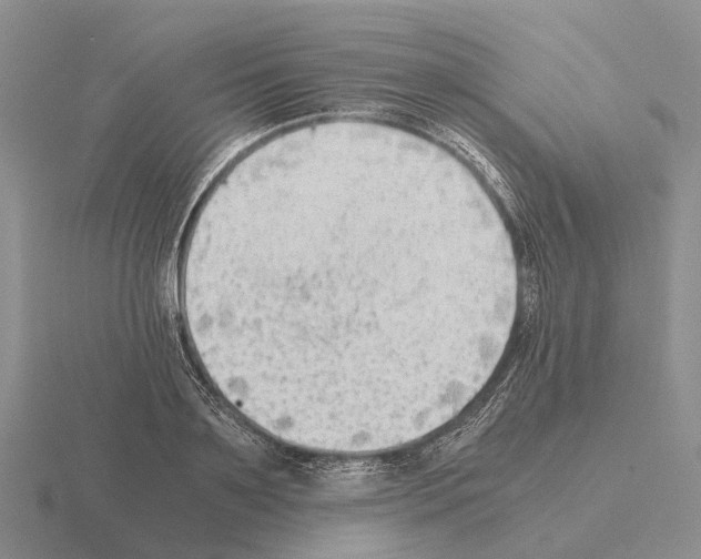 X0000115440891200912161452