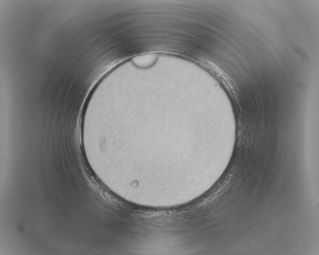 X0000115440892200912161452