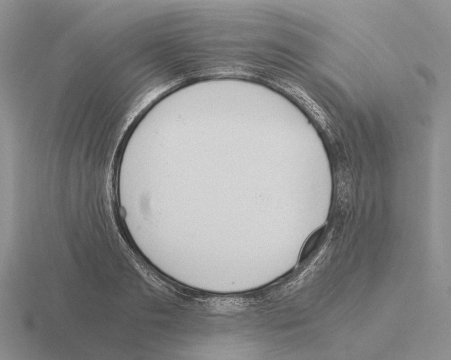 X0000115440893200912161452