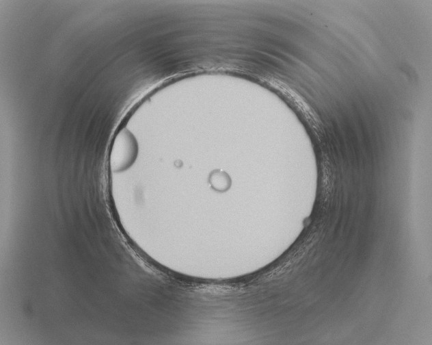 X0000115440894200912161452