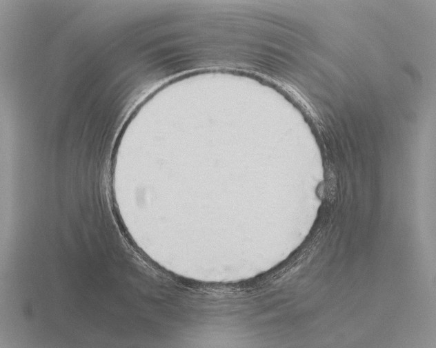 X0000115440895200912161452