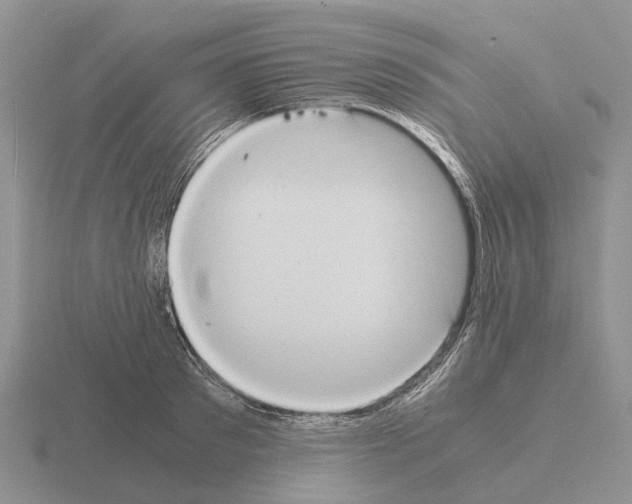 X0000115440897200912161452