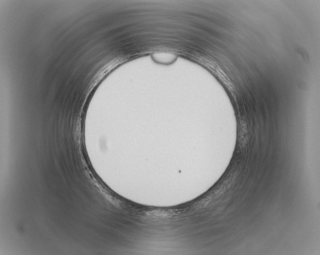 X0000115440898200912161452