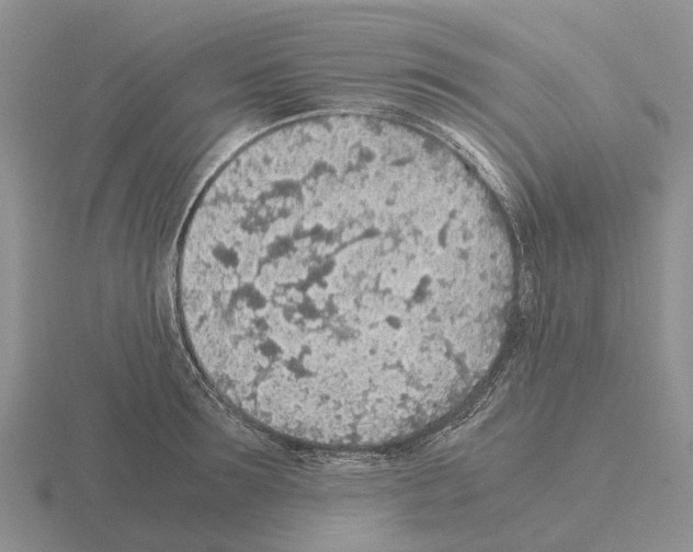 X0000115440899200912161452