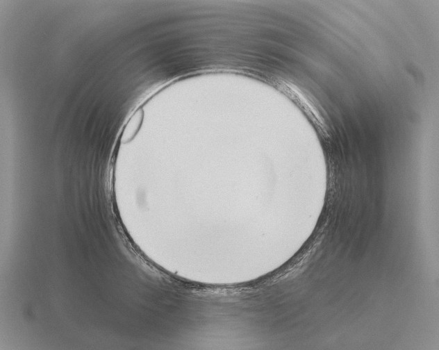 X0000115440900200912161452