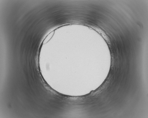 X0000115440904200912161452