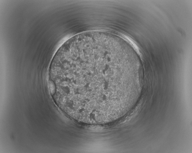 X0000115440907200912161452