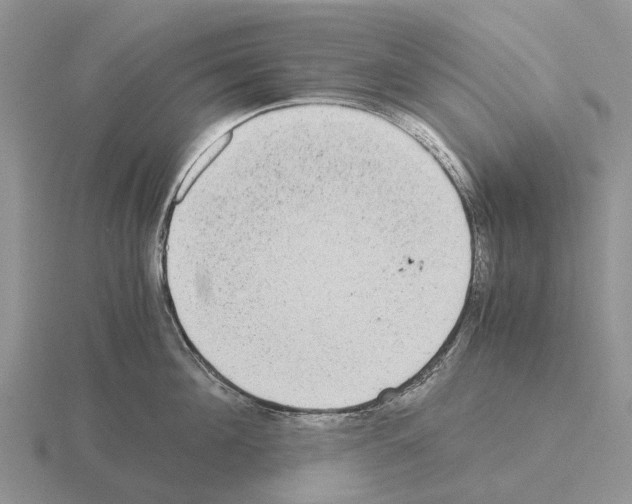 X0000115440908200912161452