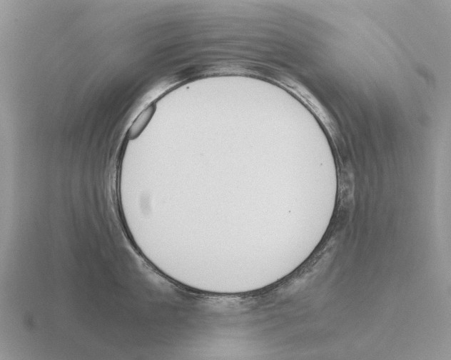 X0000115440909200912161452