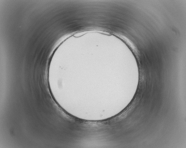 X0000115440910200912161452