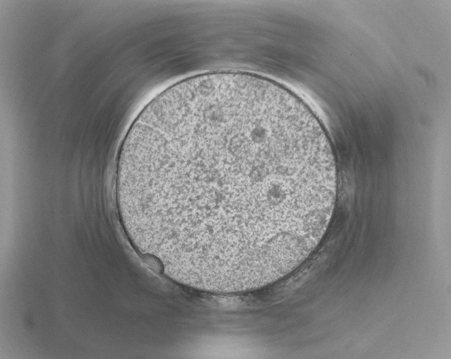 X0000115440911200912161452