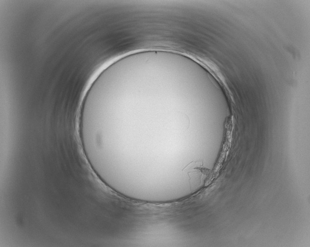 X0000115440912200912161452