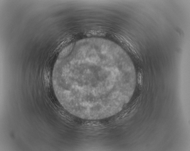 X0000115440915200912161451