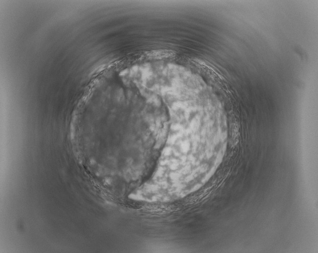 X0000115440917200912161451