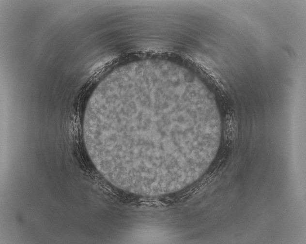 X0000115440918200912161451