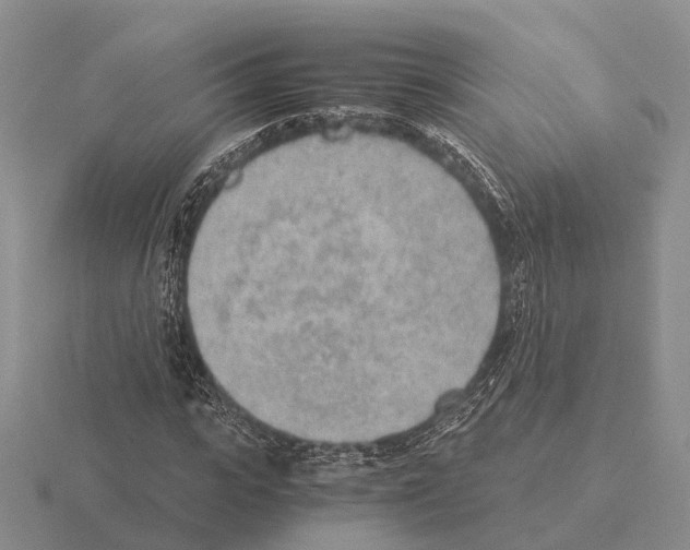 X0000115440919200912161451