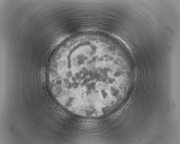 X0000115440921200912161451