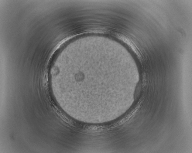 X0000115440923200912161451