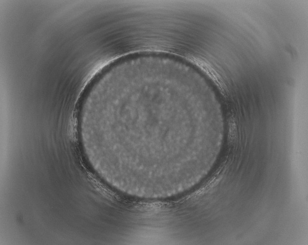 X0000115440926200912161451