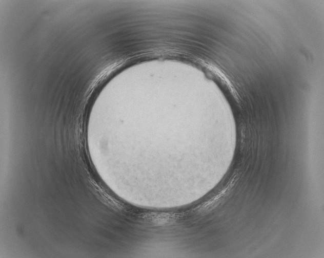 X0000115440930200912161451