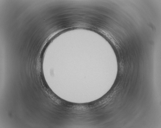 X0000115440931200912161451