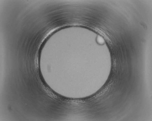 X0000115440934200912161451