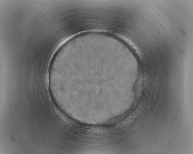 X0000115440935200912161451