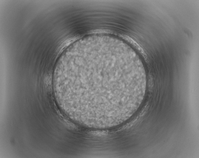 X0000115440937200912161451