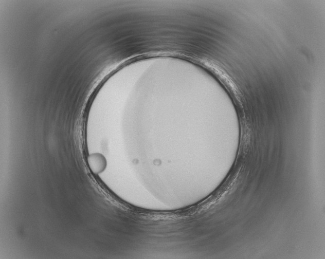 X0000115440941200912161451