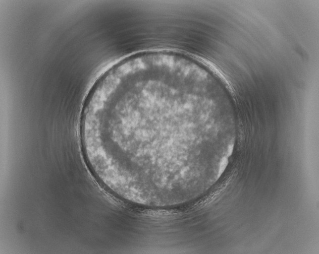 X0000115440943200912161451