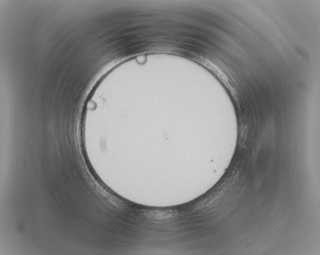 X0000115440947200912161452