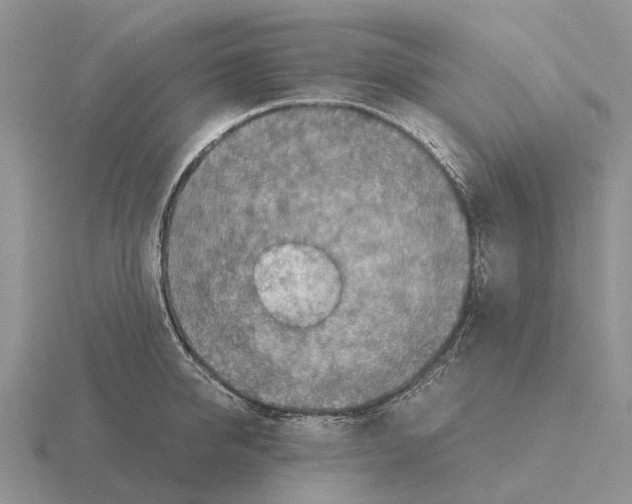 X0000115440950200912161452