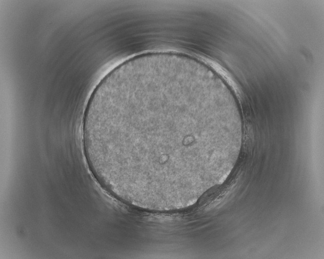 X0000115440951200912161452