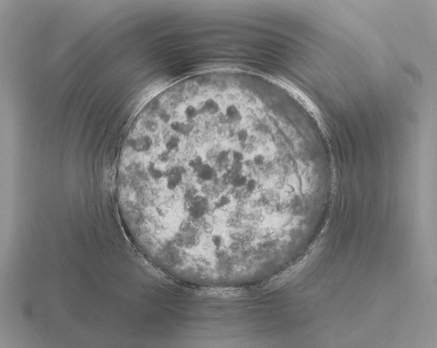 X0000115440953200912161452