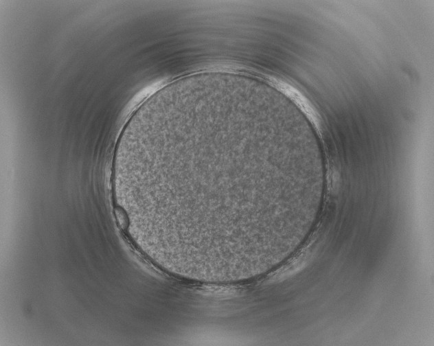 X0000115440954200912161452