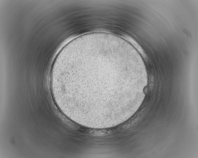 X0000115440955200912161452