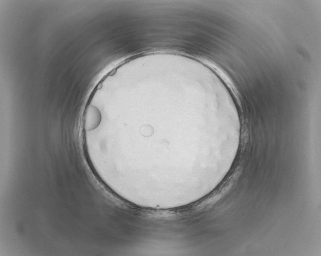 X0000115440957200912161452