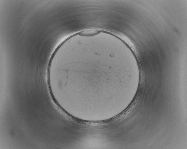 X0000115440958200912161452