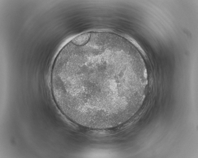 X0000115440959200912161452