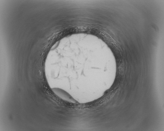 X0000115440961200912161451